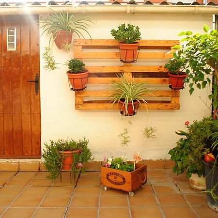 Habitacion Con Patio En Piso Compartido 卡佩利亚德斯 外观 照片