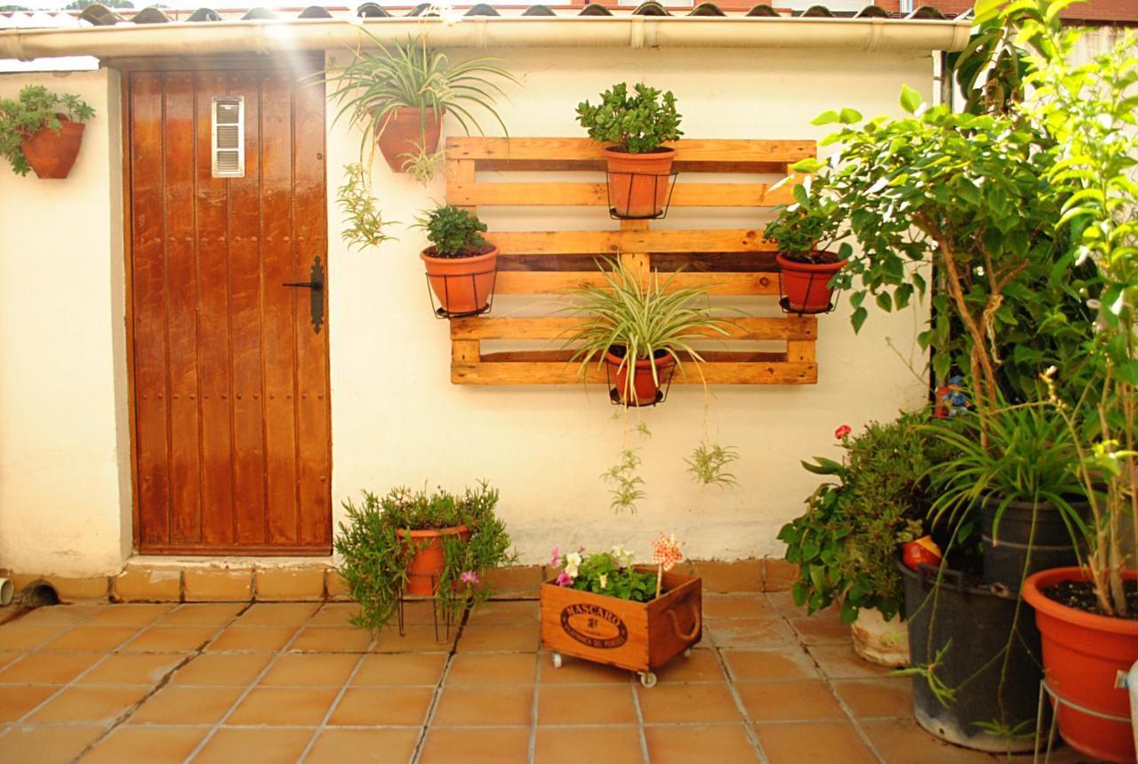 Habitacion Con Patio En Piso Compartido 卡佩利亚德斯 外观 照片